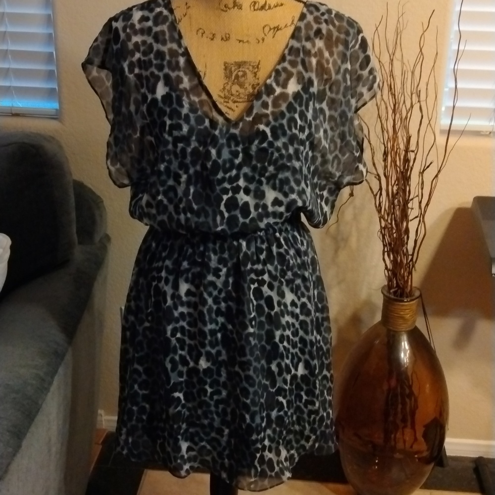 Express Dress Size M